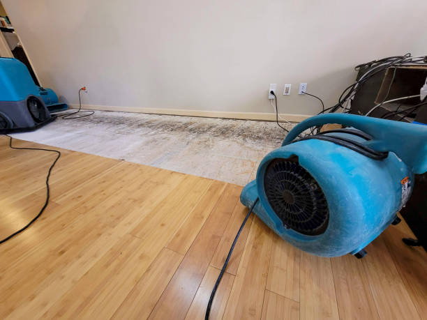 Professional Structural Drying technician working in Pacific Beach, WA